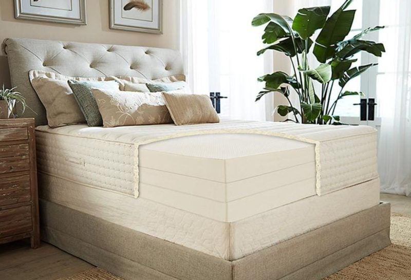 reviews for returning a plushbed mattress